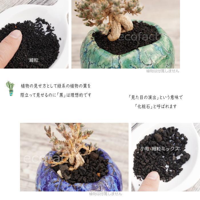 10kg 化粧石 砂 マルチング デコジャリ ブラック アガベ 化粧砂 土 化粧石 黒 飾り石 富士砂 中目 小粒/細粒ミックス（約0.1mm〜5mm）500g