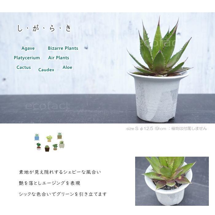 陶器鉢 植木鉢 白つばS φ12.5 (9) cm 底穴ありホワイト 白 おしゃれ