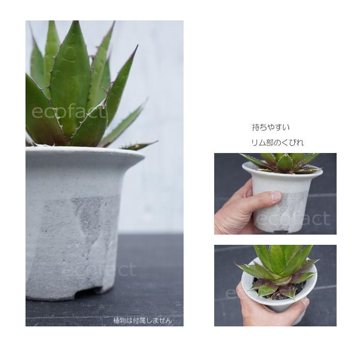 陶器鉢 植木鉢 白つばS φ12.5 (9) cm 底穴ありホワイト 白 おしゃれ