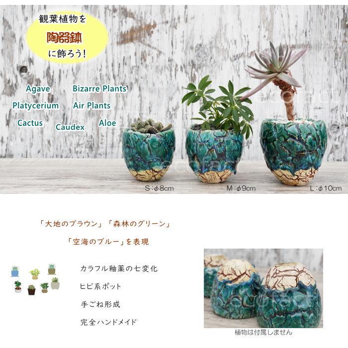 アガベ陶器鉢　植木鉢　比護作品　美品 陶器鉢 植木鉢 底穴ありフォレスト（緑）白茶M φ9cm 日本製 園芸鉢