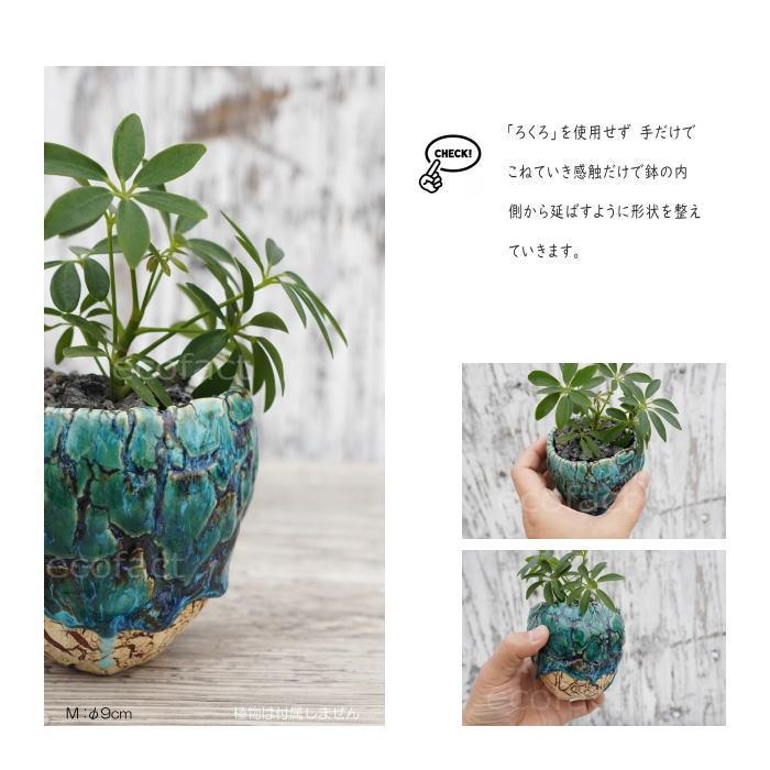 陶器鉢 植木鉢 底穴ありフォレスト（緑）白茶M φ9cm 日本製 園芸鉢