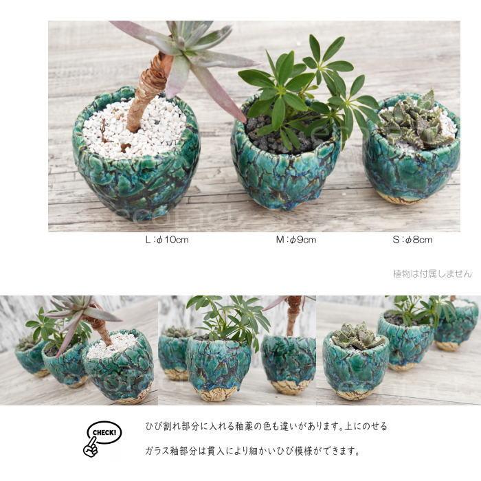 陶器鉢 植木鉢 底穴ありフォレスト（緑）白茶M φ9cm 日本製 園芸鉢