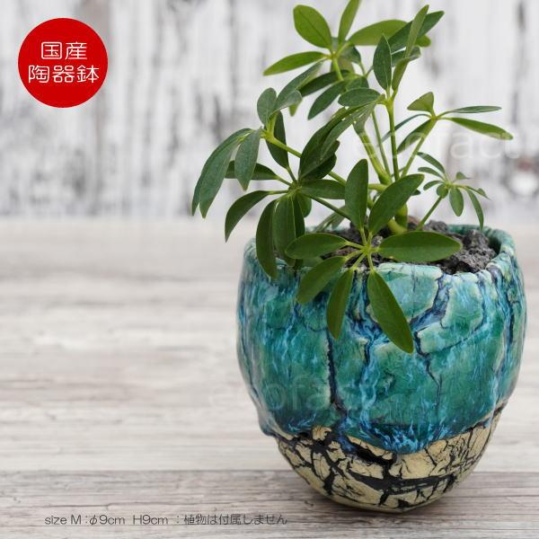 多肉植物用の植木鉢 大型 陶器 陶芸 陶器鉢 植木鉢 底穴ありフォレスト（緑）白黒M φ9cm 日本製 園芸鉢