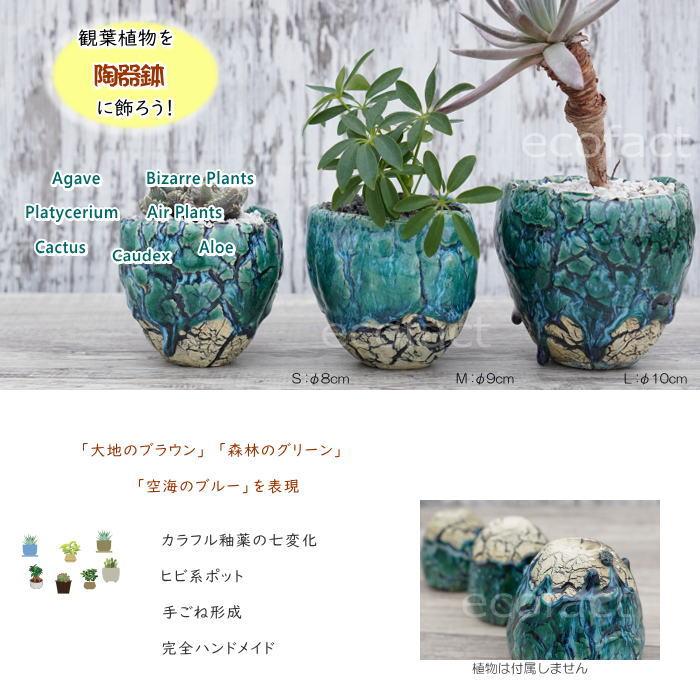 ト*シ様 6点セット　植木鉢　陶器鉢　アガベ　塊根植物　作家鉢 ト*シ様 6点セット 植木鉢 陶器鉢 アガベ 塊根植物 作家鉢 アガベ・