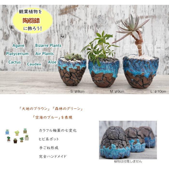 陶器鉢 植木鉢 底穴ありスカイ（ライトブルー）濃茶M φ9cm 日本製 園芸