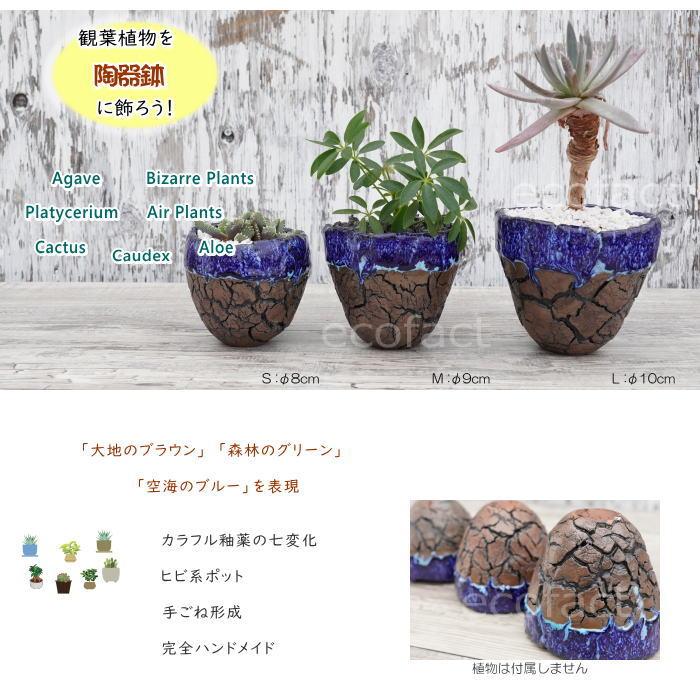 陶器鉢 植木鉢 底穴ありオーシャン（青）濃茶S φ8cm 日本製 園芸
