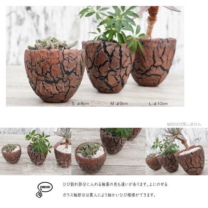 陶器鉢 植木鉢 5号 丸型 金彩 ゴールド/ブラック おしゃれ