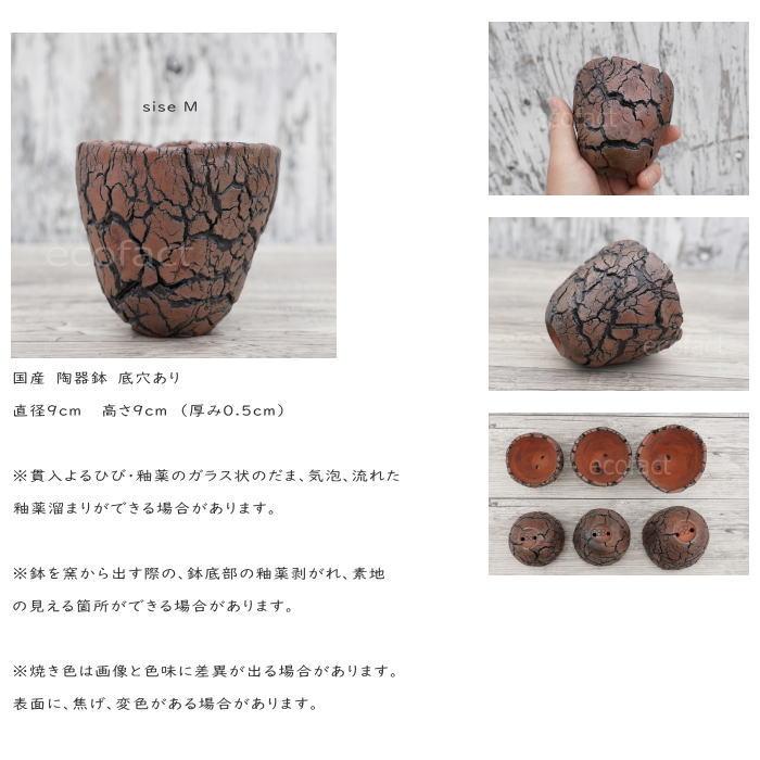 陶器鉢 植木鉢 底穴あり アース 茶 M φ9cm 日本製 園芸鉢 観葉植物