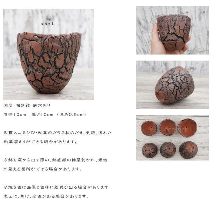 陶器鉢 植木鉢 底穴あり アース 茶 L φ10cm 日本製 園芸鉢 観葉植物