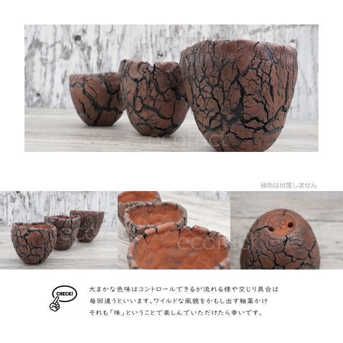 陶器鉢 植木鉢 底穴あり アース 茶 L φ10cm 日本製 園芸鉢 観葉植物