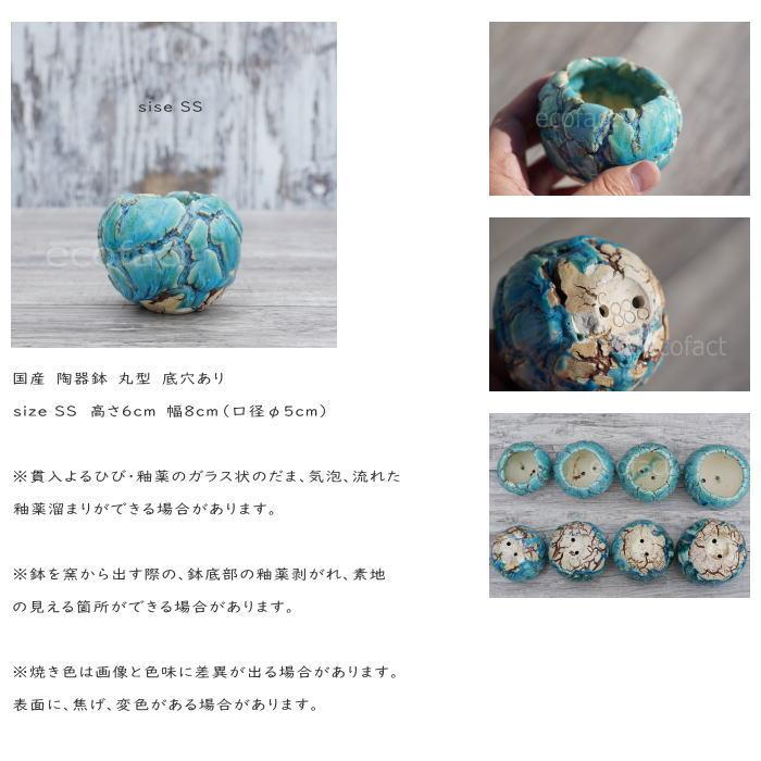 陶器鉢 植木鉢 底穴あり 丸型 フォレスト（グリーン）白茶 SS H6cm