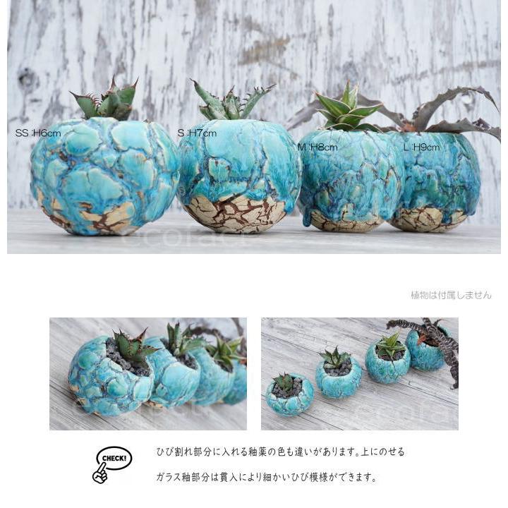 陶器鉢 植木鉢 底穴あり 丸型 フォレスト（グリーン）白茶 SS H6cm