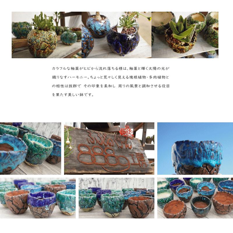 陶器鉢 植木鉢 底穴あり 丸型 フォレスト（グリーン）白茶 SS H6cm