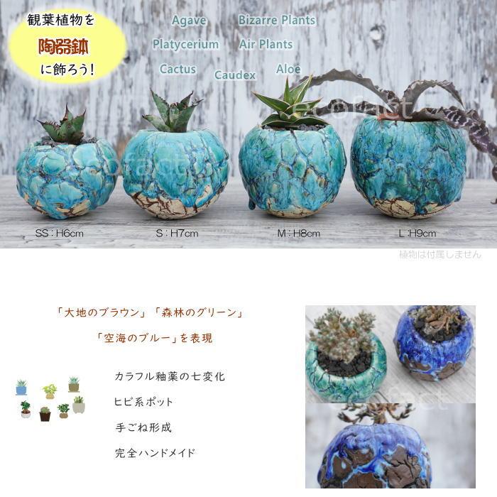 陶器鉢 植木鉢 底穴あり 丸型 フォレスト（グリーン）白茶 S H7cm 日本