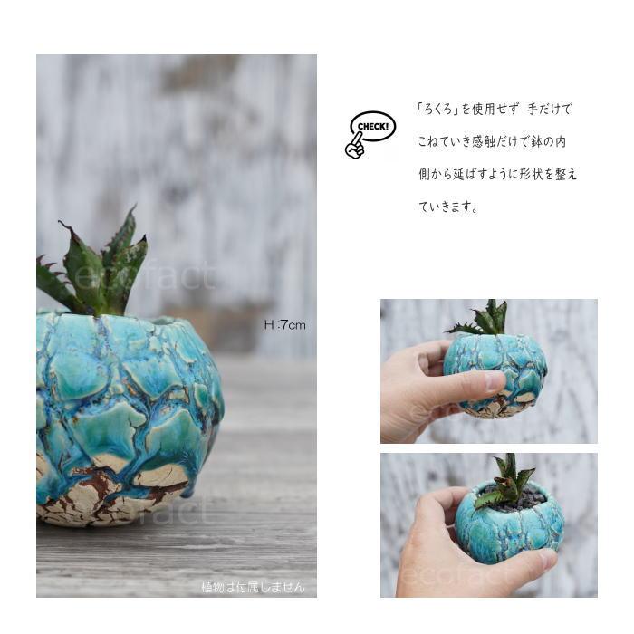 陶器鉢 植木鉢 底穴あり 丸型 フォレスト（グリーン）白茶 S H7cm 日本