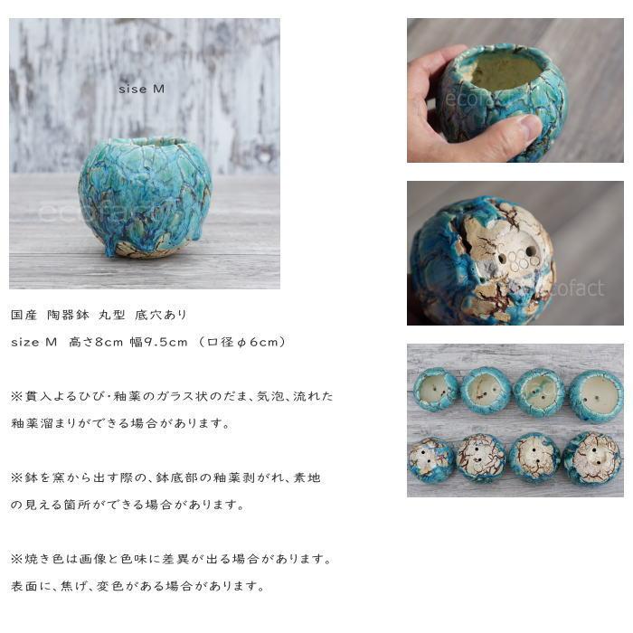 陶器鉢 植木鉢 底穴あり 丸型 フォレスト（グリーン）白茶 M H8cm 日本