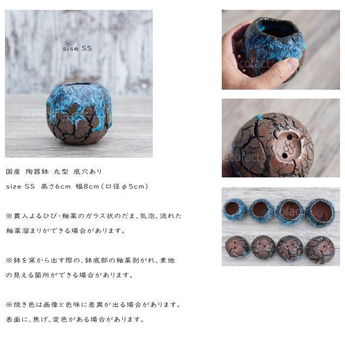 陶器製 植木鉢 ブルー 鉢底穴あり 陶器鉢 植木鉢 底穴あり 丸型 スカイ（ライトブルー）SS H6cm 日本製