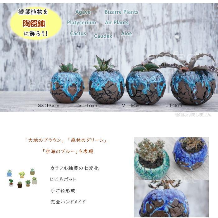 陶器鉢 植木鉢 底穴あり 丸型 スカイ（ライトブルー） S H7cm 日本製