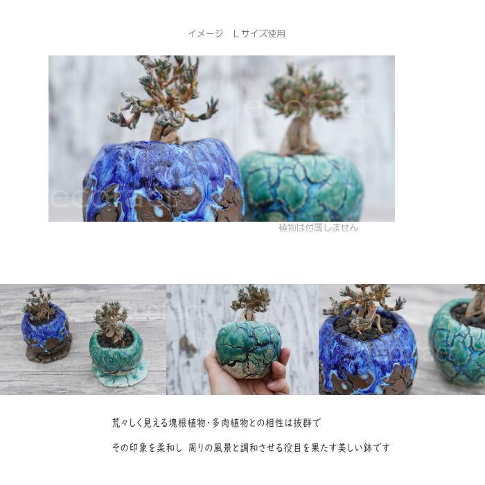 陶器鉢 植木鉢 底穴あり 丸型 オーシャン（ブルー） M H8cm 日本製