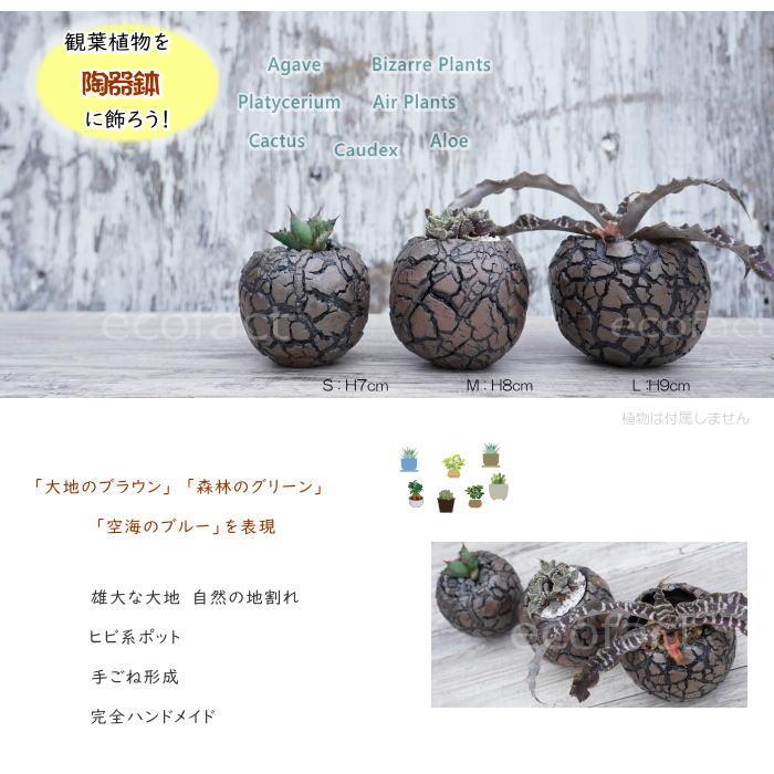 【最終値下げ】植木鉢 ハンドメイド 陶器鉢 塊根植物 XXXLサイズ A-669 陶器鉢 植木鉢 底穴あり 丸型 アース（ブラウン）S H7cm 日本製 園芸鉢