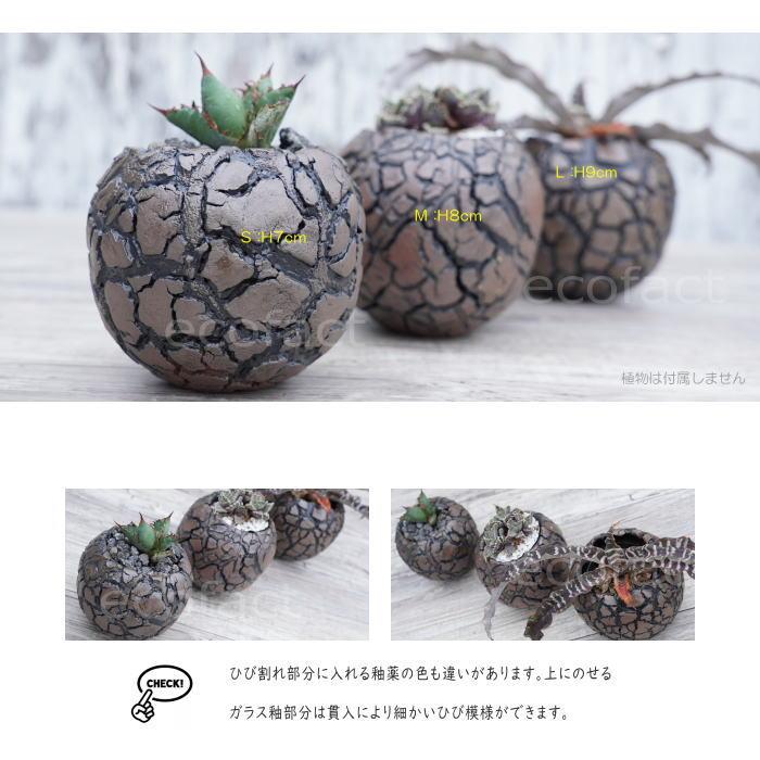 多肉植物用鉢 一品物 穴窯自然釉 【公式通販】