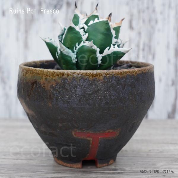 陶器鉢　ブランド鉢　作家鉢　アガベ付き 陶器鉢 植木鉢 小鉢 底穴あり 益子焼 Ruins Pot Fresco てり φ11cm