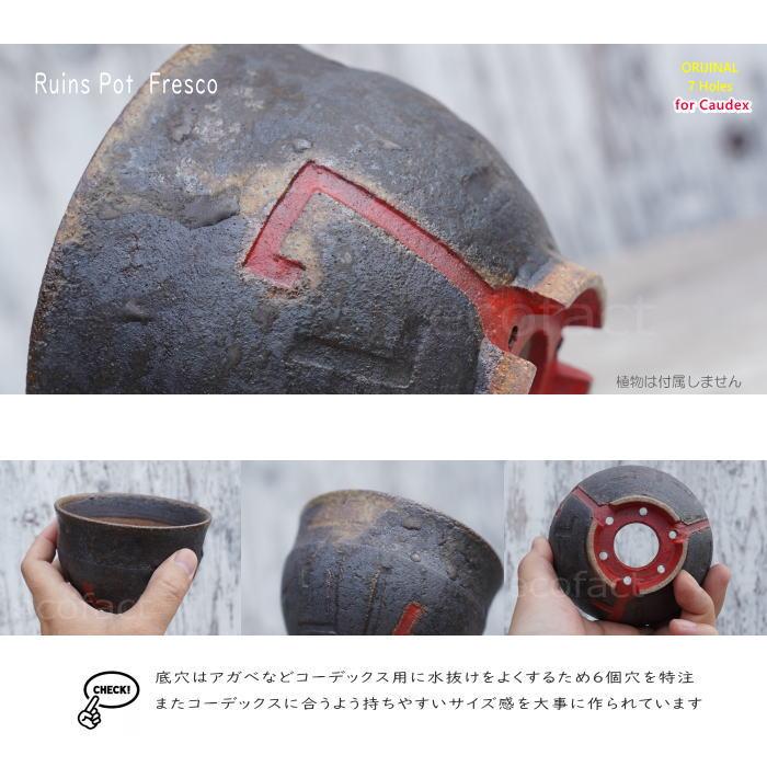 陶器鉢 植木鉢 小鉢 底穴あり 益子焼 Ruins Pot Fresco むくり φ11cm