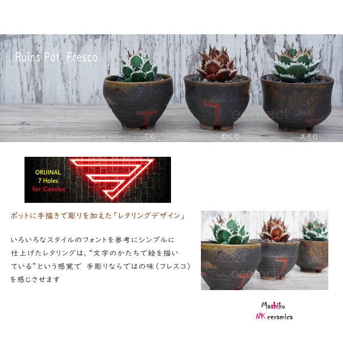 陶器鉢 植木鉢 小鉢 底穴あり 益子焼 Ruins Pot Fresco むくり φ11cm