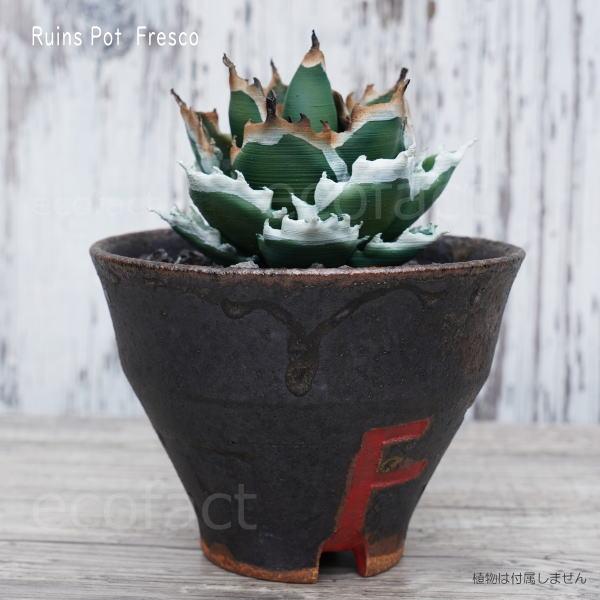 陶器鉢 植木鉢 小鉢 底穴あり 益子焼 Ruins Pot Fresco そり高 φ11cm
