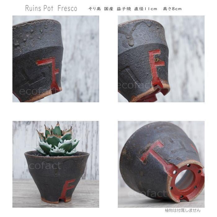 陶器鉢 植木鉢 小鉢 底穴あり 益子焼 Ruins Pot Fresco そり高 φ11cm