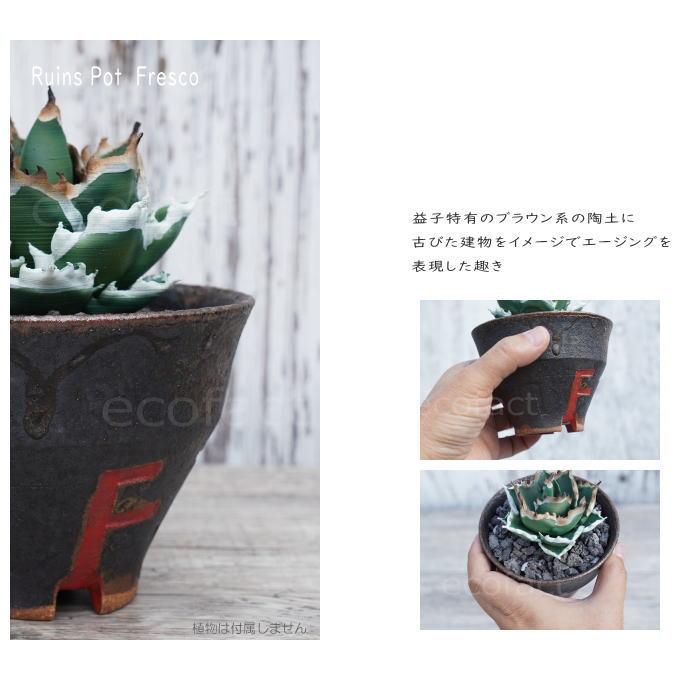 陶器鉢 植木鉢 小鉢 底穴あり 益子焼 Ruins Pot Fresco そり高 φ11cm