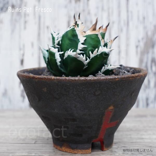 陶器鉢 植木鉢 小鉢 底穴あり 益子焼 Ruins Pot Fresco そり低 φ12cm