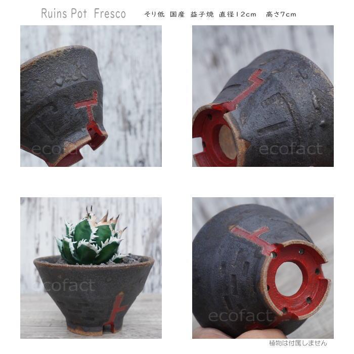 陶器鉢 植木鉢 小鉢 底穴あり 益子焼 Ruins Pot Fresco そり低 φ12cm