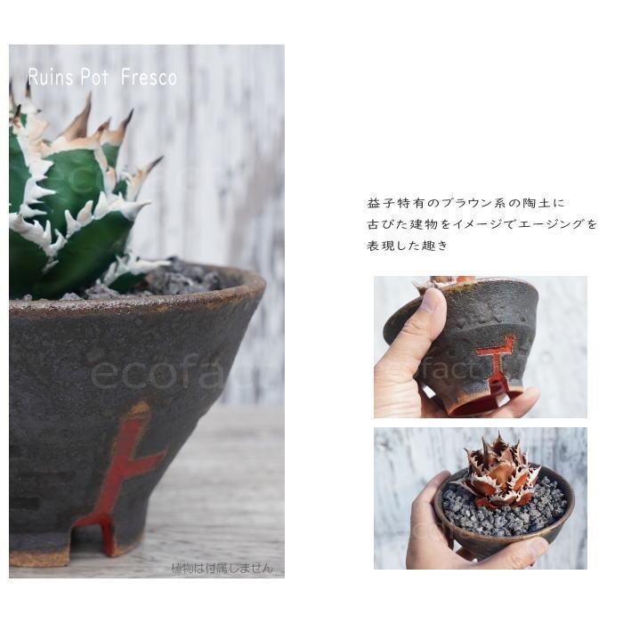 陶器鉢 植木鉢 小鉢 底穴あり 益子焼 Ruins Pot Fresco そり低 φ12cm