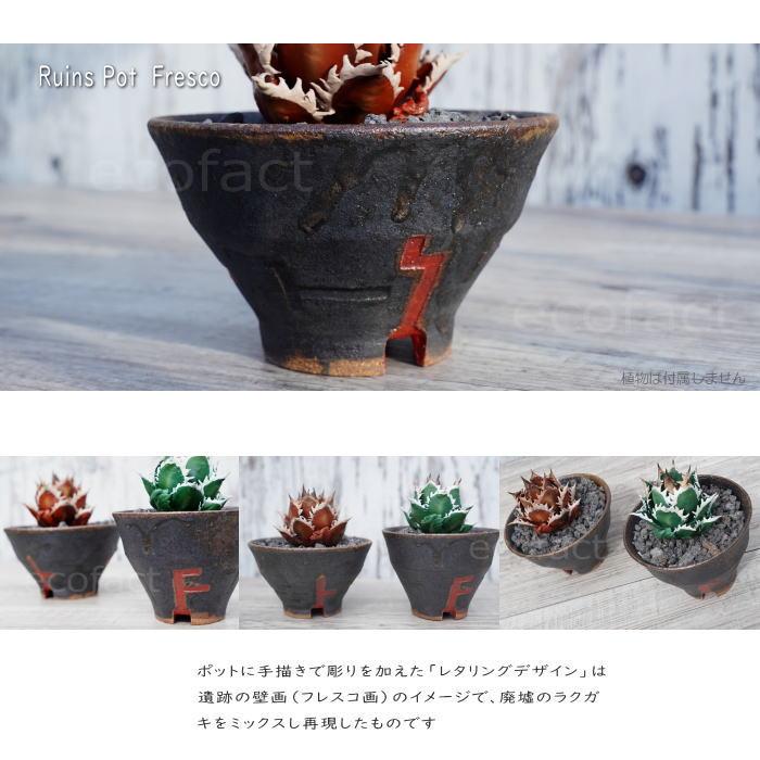陶器鉢 植木鉢 小鉢 底穴あり 益子焼 Ruins Pot Fresco そり低 φ12cm