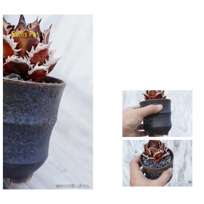 陶器鉢 植木鉢 小鉢 底穴あり 益子焼 Ruins Pot そり二段 φ9cm