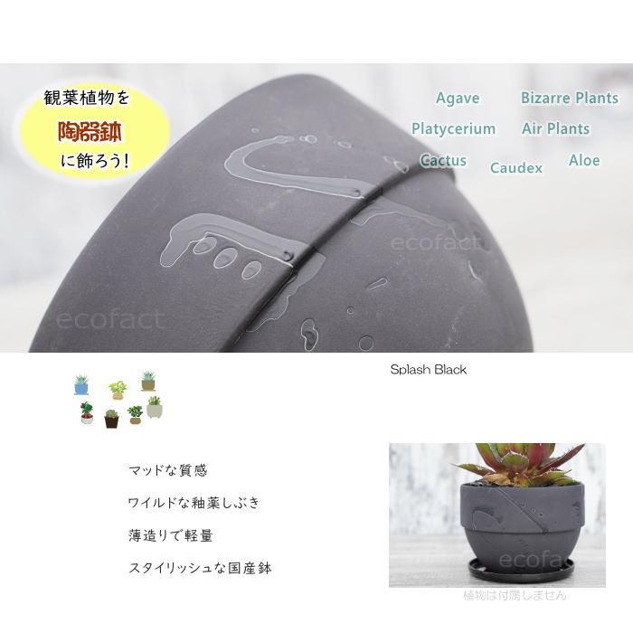 陶器鉢 植木鉢 美濃焼 SPLASH POT 4号 底穴あり ブラック 国産鉢