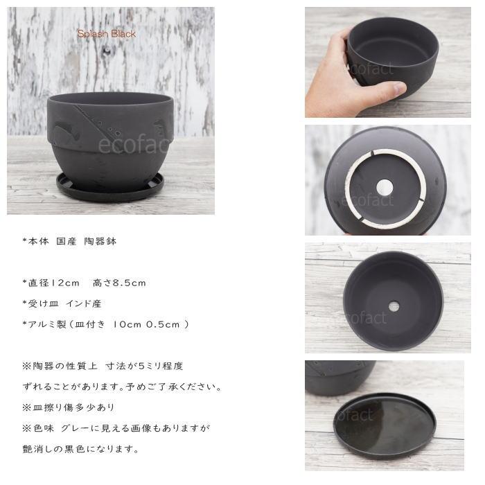 陶器鉢 植木鉢 美濃焼 SPLASH POT 4号 底穴あり ブラック 国産鉢