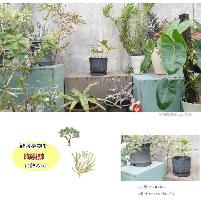 植木鉢 おしゃれ 陶器鉢 フラワーポット ミニポット 底穴あり Streak M