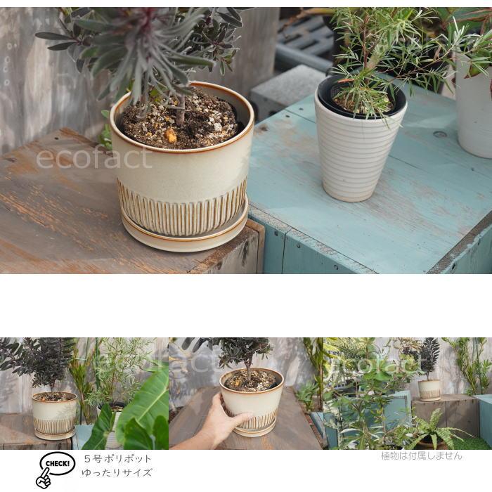 植木鉢 おしゃれ 陶器鉢 フラワーポット ミニポット 底穴あり Streak L