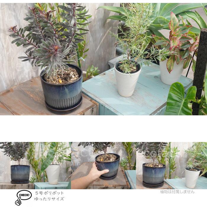 植木鉢 おしゃれ 陶器鉢 フラワーポット ミニポット 底穴あり Streak L