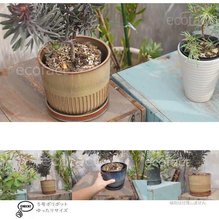 植木鉢 おしゃれ 陶器鉢 フラワーポット ミニポット 底穴あり Streak L