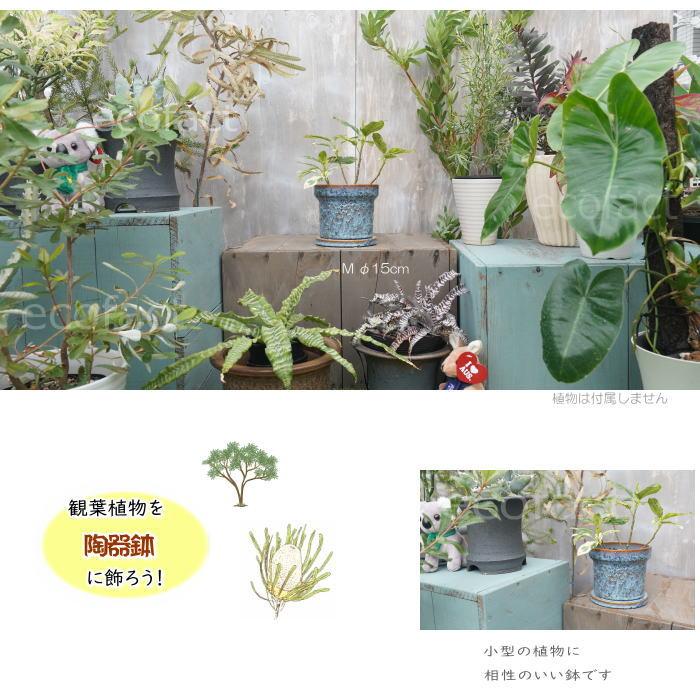 植木鉢 おしゃれ 陶器鉢 フラワーポット ミニポット 底穴あり Grit M