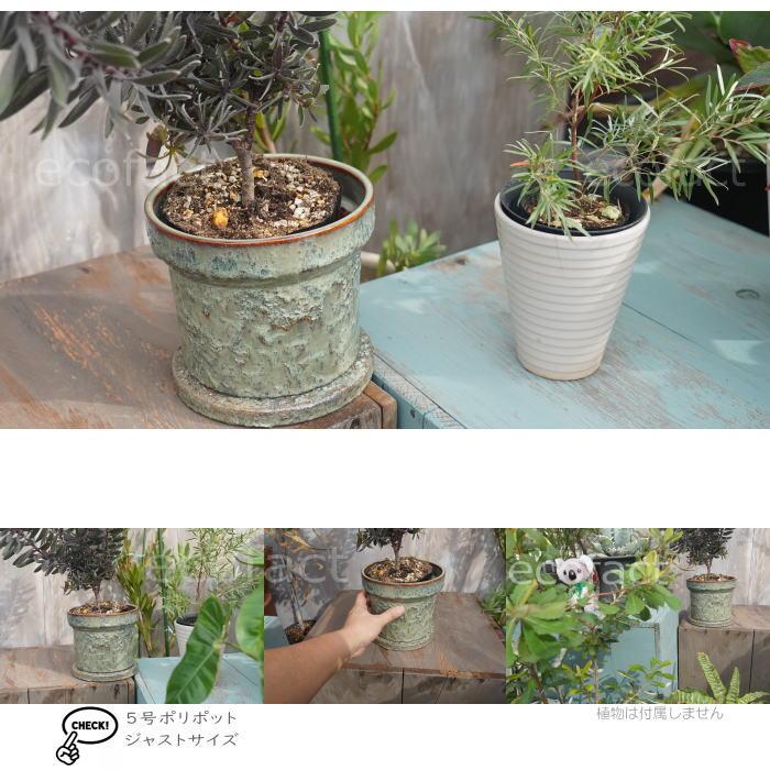 植木鉢 おしゃれ 陶器鉢 フラワーポット ミニポット 底穴あり Grit L