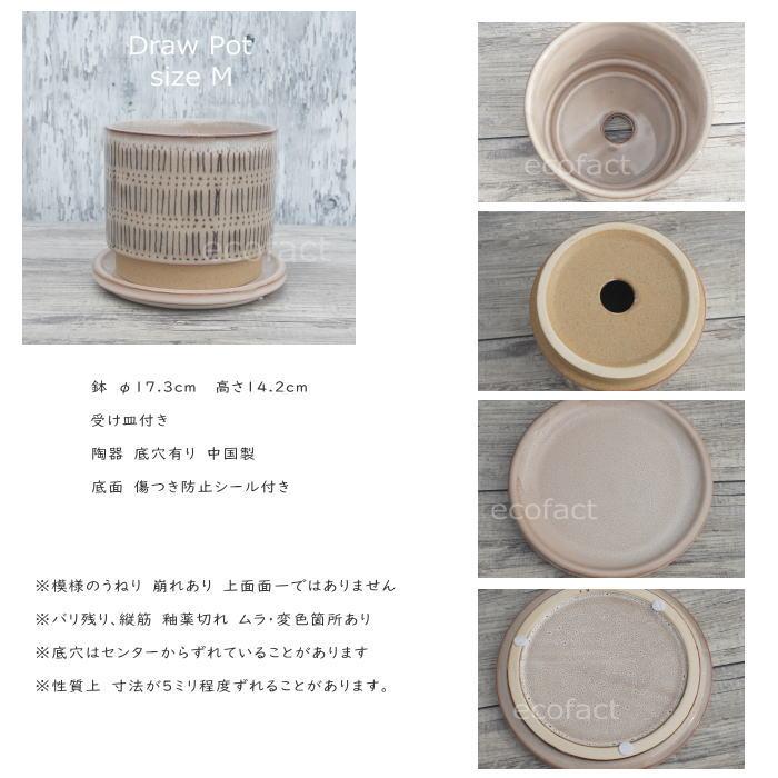 小渡鉢受け皿付き輪郭 植木鉢 おしゃれ 陶器鉢 フラワーポット ミニポット 底穴あり Draw M
