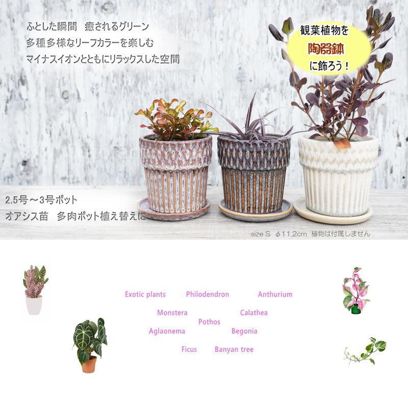 植木鉢andソーサー✳︎POT観葉植物✳︎園芸プランター ポット 鉢 植木鉢 プランター おしゃれ 陶器 φ11.2cm Merge S ホワイト