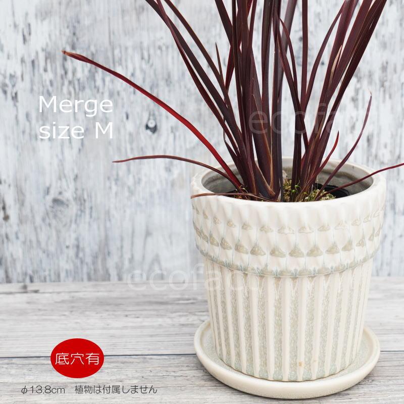 植木鉢andソーサー✳︎POT観葉植物✳︎園芸プランター タイディポット L 植木鉢 鉢 ソーサー セット プランター