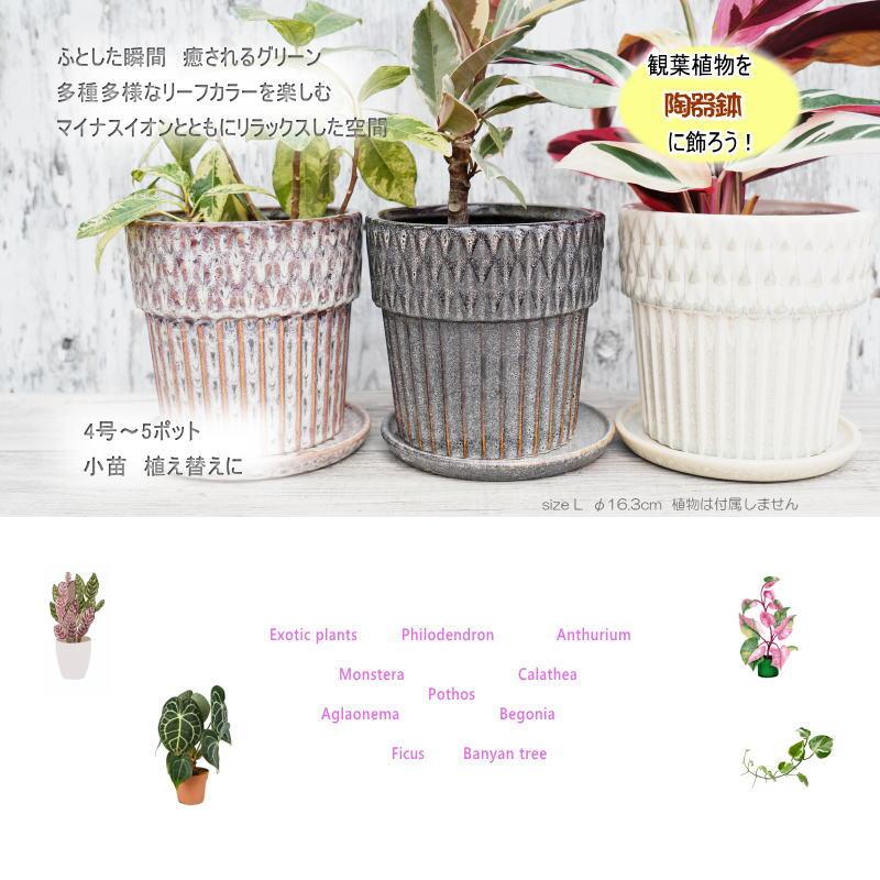 ポット 鉢 植木鉢 プランター おしゃれ 陶器 φ16.3cm Merge L ホワイト