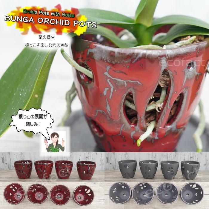 ラン鉢 穴あき鉢 ハンギング 吊り鉢 おしゃれ 陶器鉢 植木鉢 ミニ