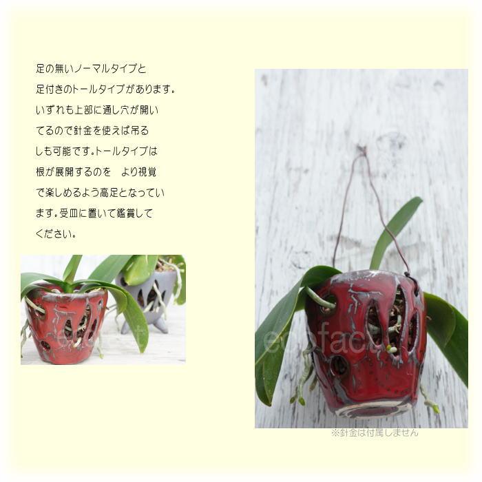 ラン鉢 穴あき鉢 ハンギング 吊り鉢 おしゃれ 陶器鉢 植木鉢 ミニ